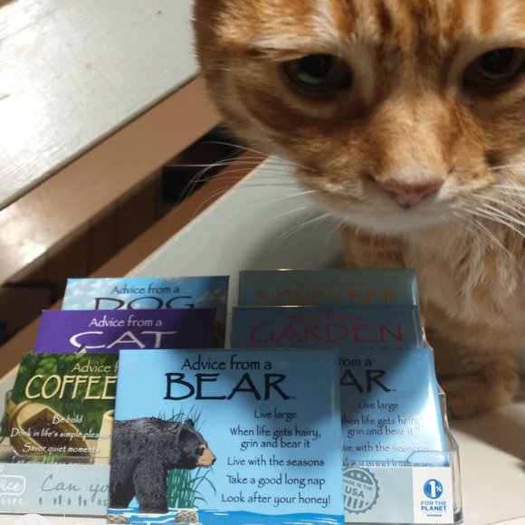 Adorable Advice Magnets- BNI - Picture 3 of 6